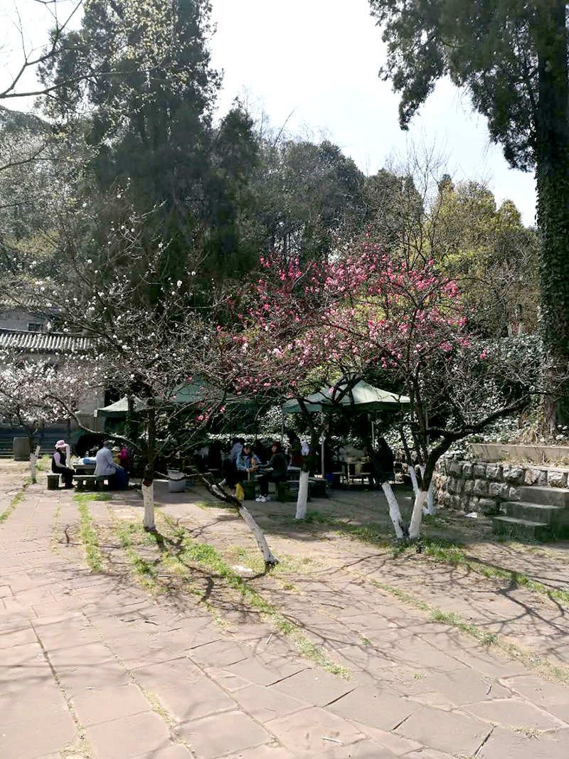 首页| 亚游集团ag8集团官方网站