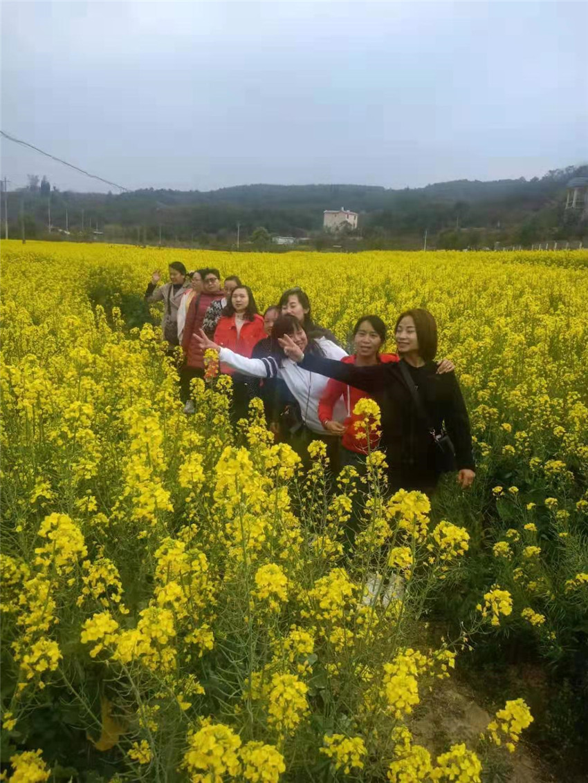 首页| 亚游集团ag8集团官方网站