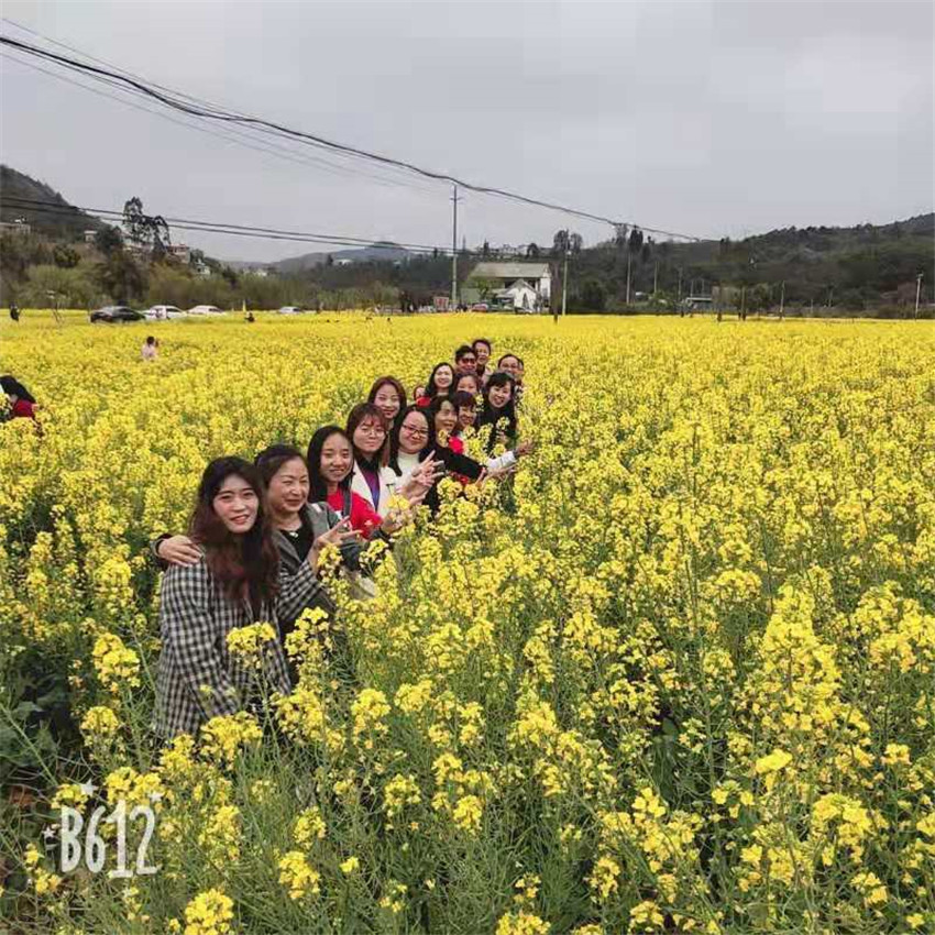 首页| 亚游集团ag8集团官方网站