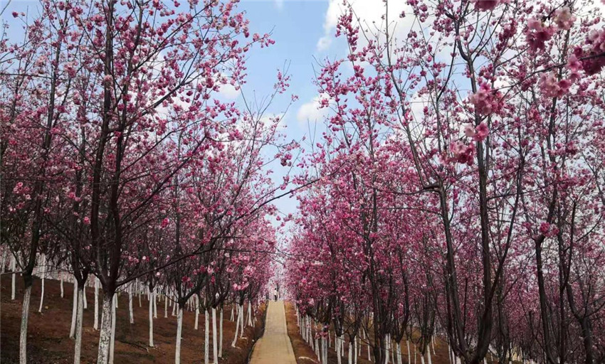 首页| 亚游集团ag8集团官方网站